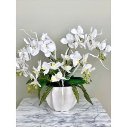 Grosses Arrangement mit Orchidee in einer Vase