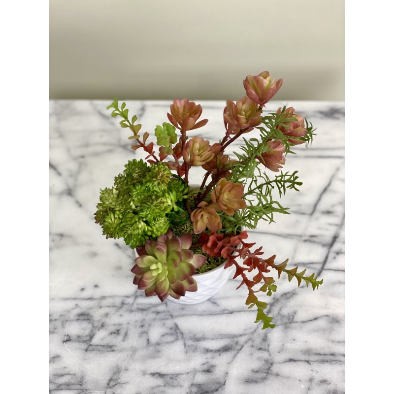 Arrangement mit Sukkulenten in einer Vase 2