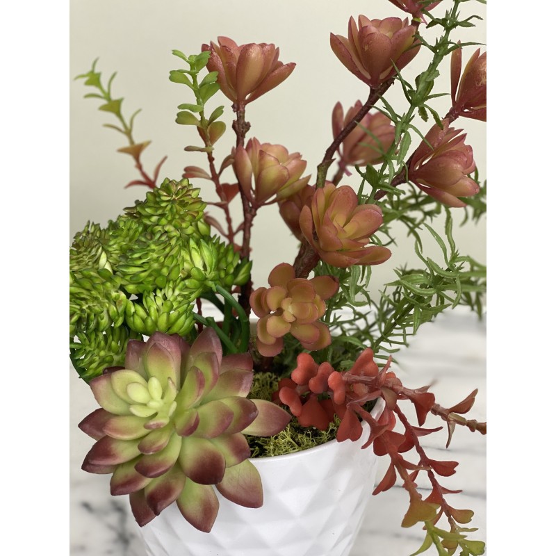 Arrangement mit Sukkulenten in einer Vase 3
