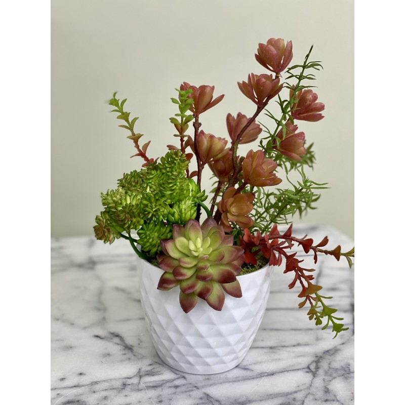 Arrangement mit Sukkulenten in einer Vase 5