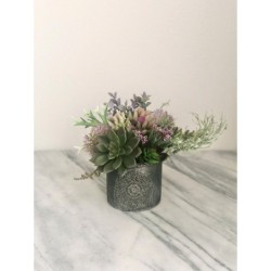 Kleines Arrangement mit Sukkulenten in einer Vase