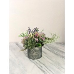 Kleines Arrangement mit Sukkulenten in einer Vase 2