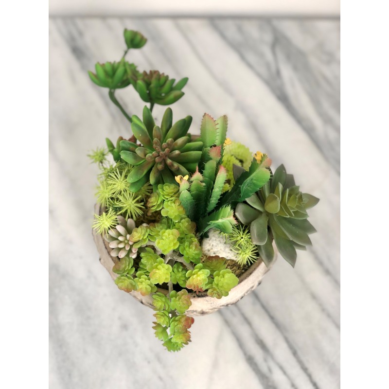 Künstliches Arrangement mit Sukkulenten 6