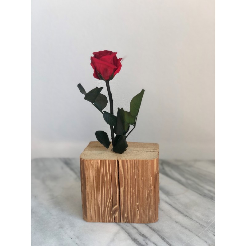 Stabilisierte rote Rose mit Stiel 30 cm