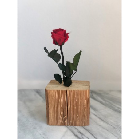 Stabilisierte rote Rose mit Stiel 30 cm
