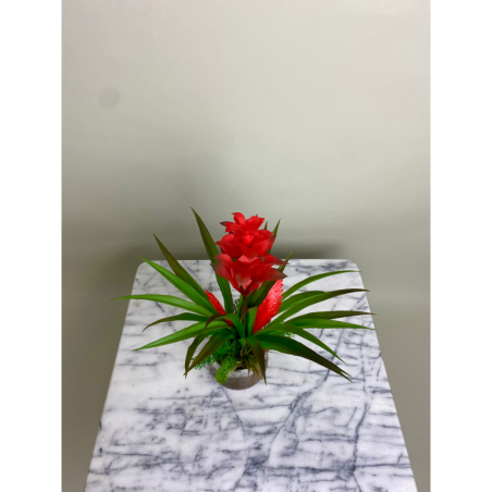 Exotische Kunstbromelie im edlen Dekotopf 3