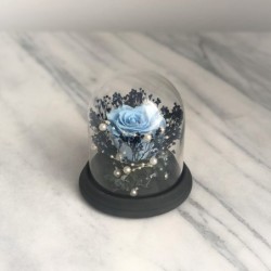 Stabilisierte Rose im Glass Glocke (blau)