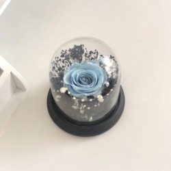Stabilisierte Rose im Glass Glocke (blau) 2