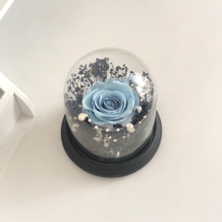 Stabilisierte Rose im Glass Glocke (blau) 2