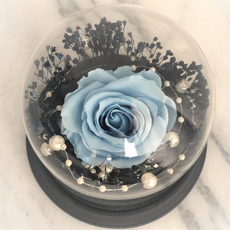 Stabilisierte Rose im Glass Glocke (blau) 4