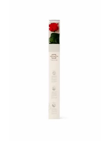 Stabilisierte rote Rose mit Stiel 50 cm