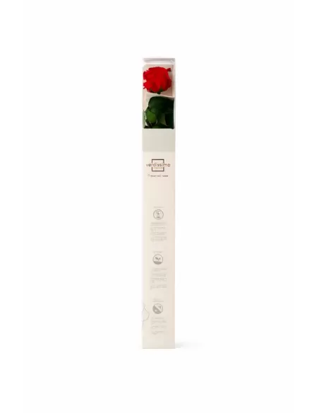 Stabilisierte rote Rose mit Stiel 50 cm