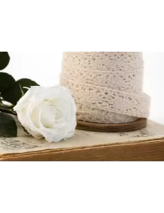 Stabilisierte weisse Rose mit Stiel 30 cm 2