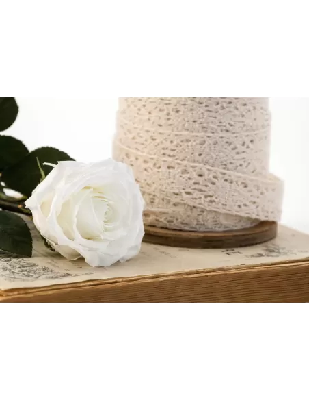 Stabilisierte rote Rose mit Stiel 30 cm