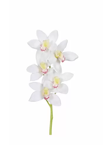 Künstliche Cymbidium Orchidee – Weiß, 65 cm