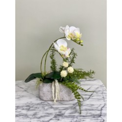 Kunstorchidee Phalaenopsis im Keramiktopf