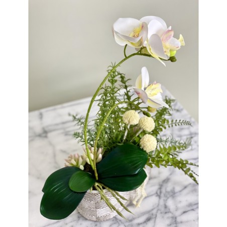 Kunstorchidee Phalaenopsis im Keramiktopf 6