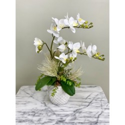 Orchideen Arrangement xx335