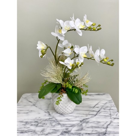 Orchideen Arrangement xx335