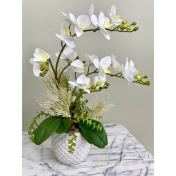 Orchideen Arrangement xx335 2