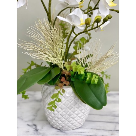 Orchideen Arrangement xx335 3