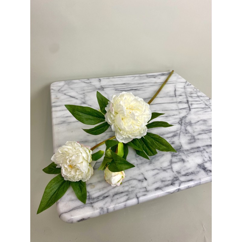 Künstliche Pfingstrose (Päonie) 73 cm 3