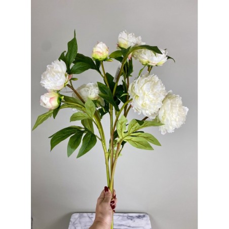 Künstliche Pfingstrose (Päonie) 73 cm 4