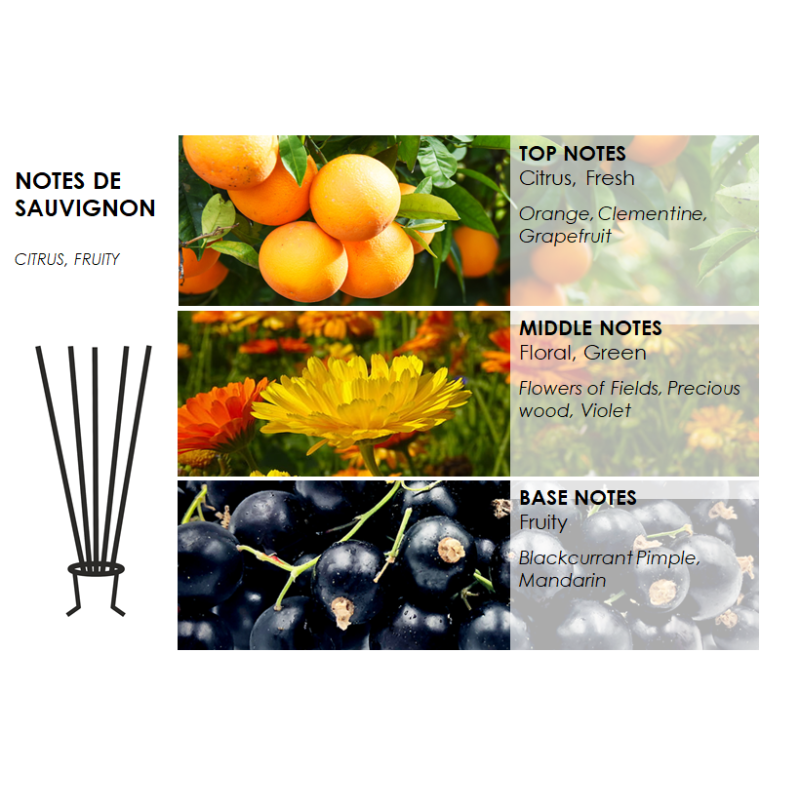 Notes de Sauvignon- Raumduft Spray 50ML 4