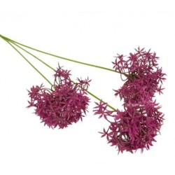 Künstlicher Alliumzweig – Bordeaux
