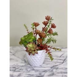 Arrangement mit Sukkulenten in einer Vase