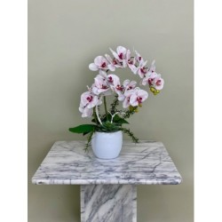 Künstliche Orchidee "Real Touch" 2