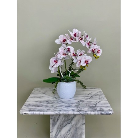  ca. 51 cm in einer Vase