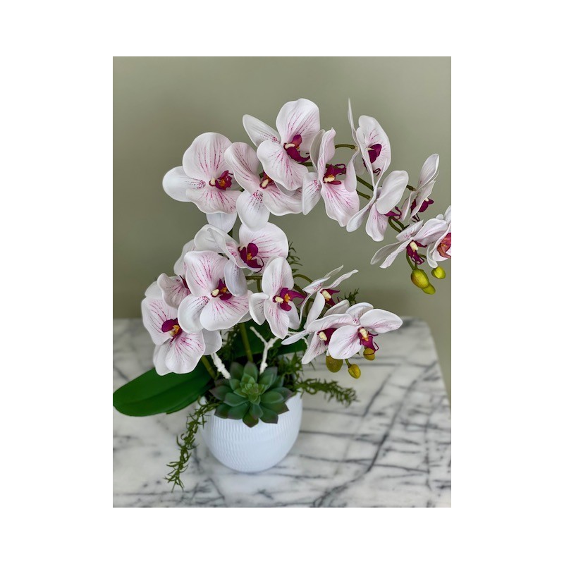  ca. 51 cm in einer Vase 2