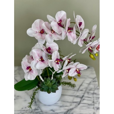  ca. 51 cm in einer Vase 2