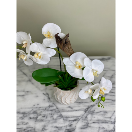 Künstliche Orchidee im Topf Weiß 5