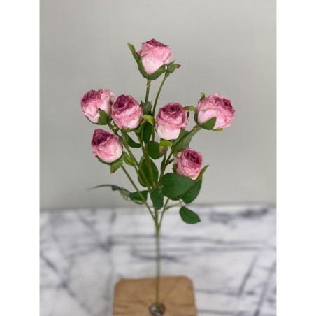 Rosenzweig in Dry Look mit einer Länge von 55 cm 4