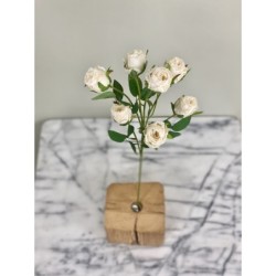 Rosenzweig in Dry Look in 55 cm 2