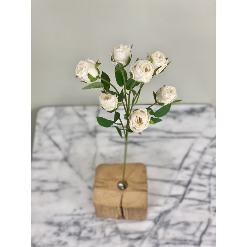 Rosenzweig in Dry Look in 55 cm 2