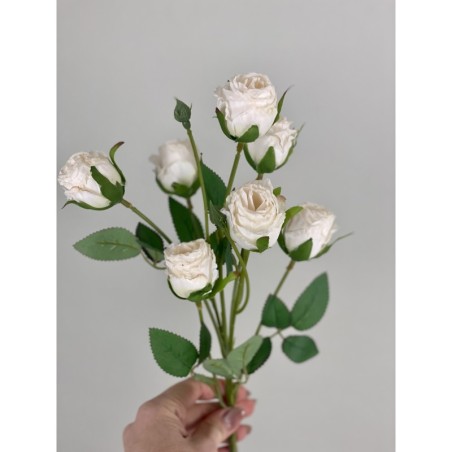 Rosenzweig in Dry Look in 55 cm 3