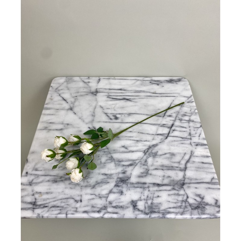 Rosenzweig in Dry Look in 55 cm 5