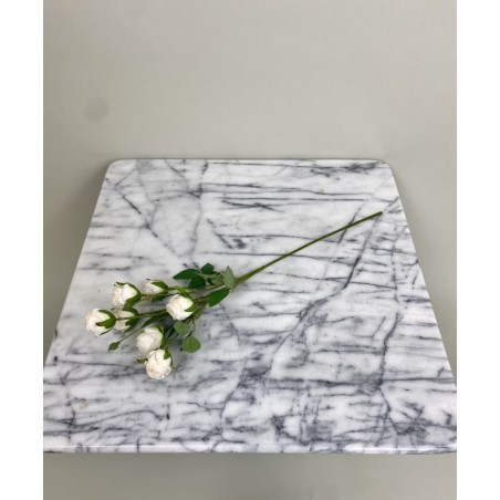 Rosenzweig in Dry Look in 55 cm 5