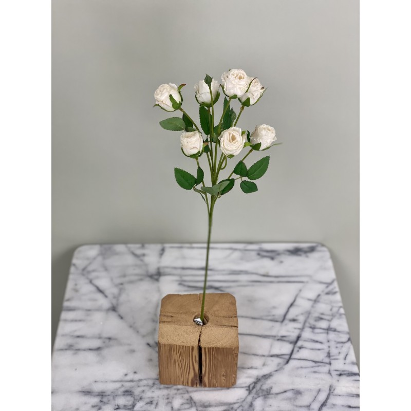 Rosenzweig in Dry Look in 55 cm 6