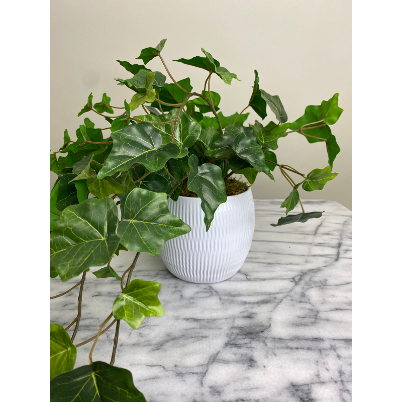 Künstlicher Efeu im Topf – immergrüne Hängepflanze 3