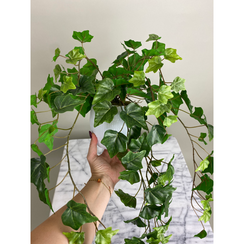 Künstlicher Efeu im Topf – immergrüne Hängepflanze 5