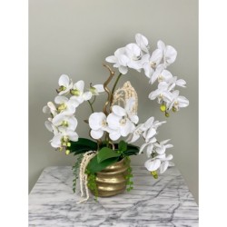 Orchideen Arrangement in einer goldenen Vase