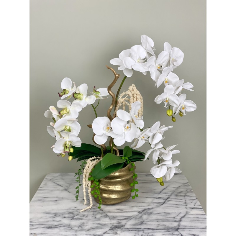 Orchideen Arrangement in einer goldenen Vase