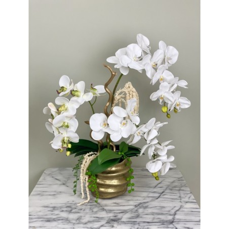 Orchideen Arrangement in einer goldenen Vase
