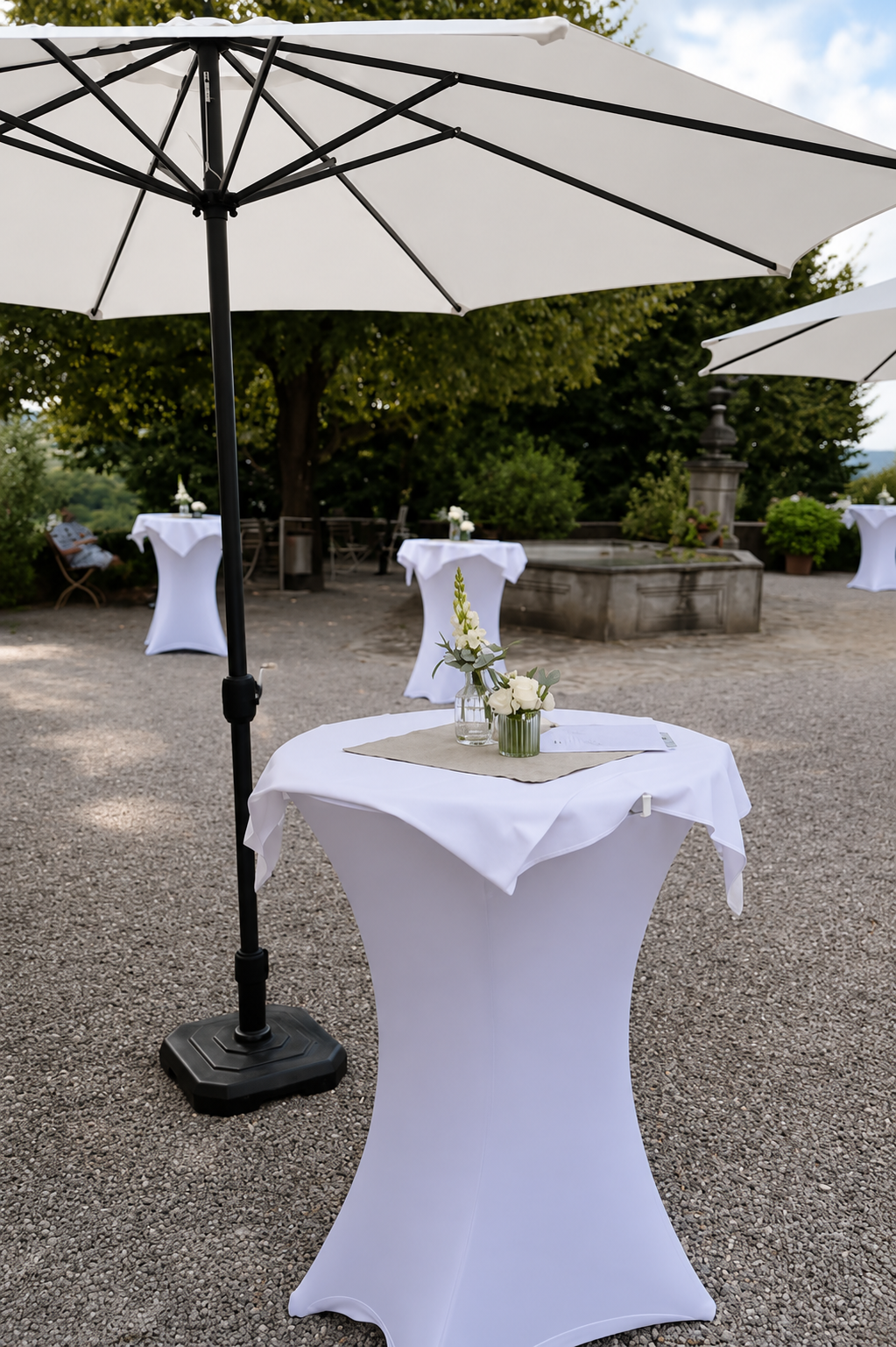 Apero - Schloss Wildegg